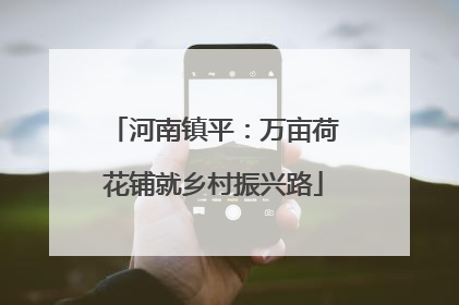 河南镇平：万亩荷花铺就乡村振兴路