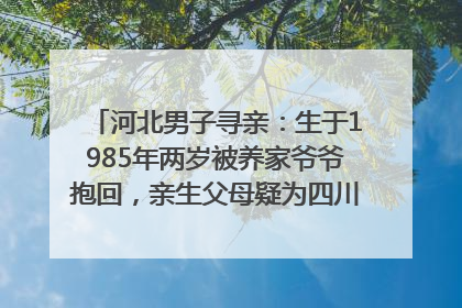河北男子寻亲：生于1985年两岁被养家爷爷抱回，亲生父母疑为四川仪陇人｜红星寻人