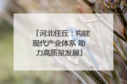 河北任丘：构建现代产业体系 助力高质量发展