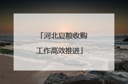 河北夏粮收购工作高效推进
