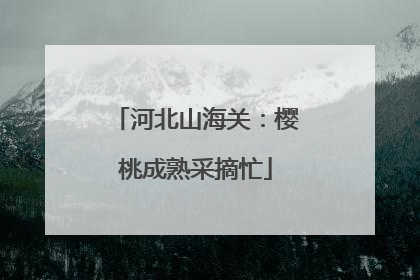 河北山海关：樱桃成熟采摘忙