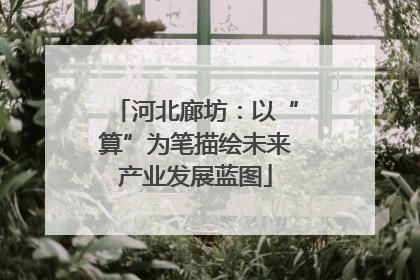 河北廊坊：以“算”为笔描绘未来产业发展蓝图