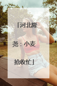 河北隆尧：小麦抢收忙
