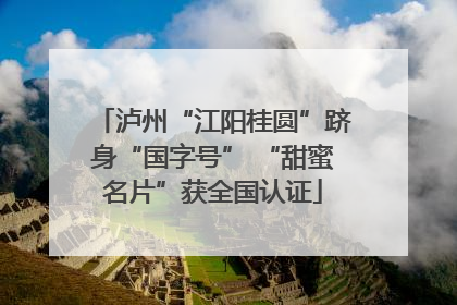 泸州“江阳桂圆”跻身“国字号” “甜蜜名片”获全国认证