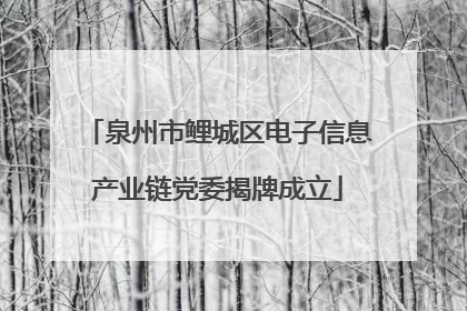泉州市鲤城区电子信息产业链党委揭牌成立