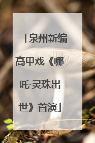 泉州新编高甲戏《哪吒·灵珠出世》首演