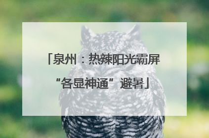 泉州：热辣阳光霸屏 “各显神通”避暑