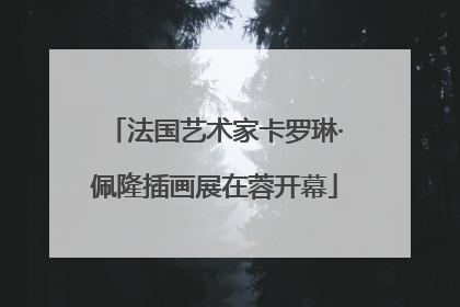 法国艺术家卡罗琳·佩隆插画展在蓉开幕