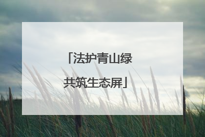 法护青山绿 共筑生态屏