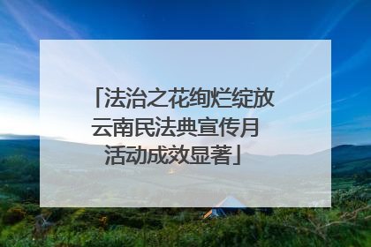 法治之花绚烂绽放 云南民法典宣传月活动成效显著