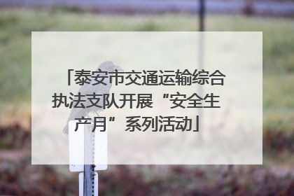 泰安市交通运输综合执法支队开展“安全生产月”系列活动
