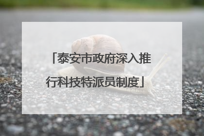 泰安市政府深入推行科技特派员制度