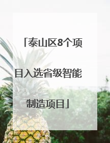 泰山区8个项目入选省级智能制造项目