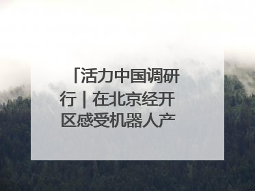 活力中国调研行｜在北京经开区感受机器人产业创新发展