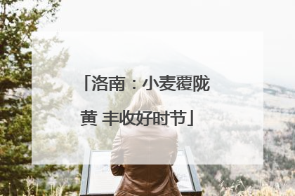 洛南：小麦覆陇黄 丰收好时节