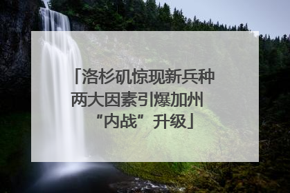 洛杉矶惊现新兵种 两大因素引爆加州“内战”升级