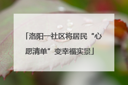 洛阳一社区将居民“心愿清单”变幸福实景