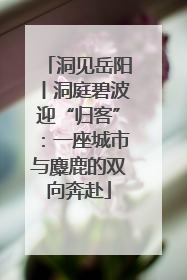 洞见岳阳丨洞庭碧波迎“归客”：一座城市与麋鹿的双向奔赴