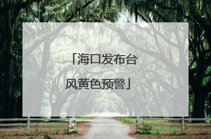 海口发布台风黄色预警