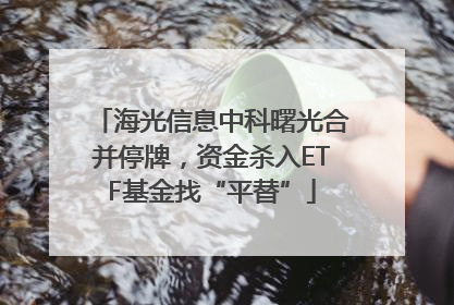 海光信息中科曙光合并停牌，资金杀入ETF基金找“平替”