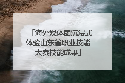 海外媒体团沉浸式体验山东省职业技能大赛技能成果