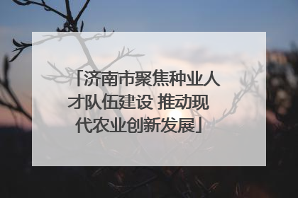 济南市聚焦种业人才队伍建设 推动现代农业创新发展