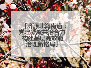 济源北海街道：党建凝聚共治合力 构建基层高效能治理新格局