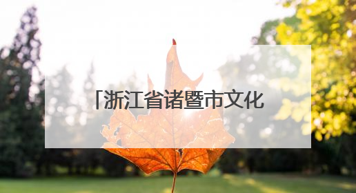 浙江省诸暨市文化广电旅游局党组书记、局长孙陈超：以“西施”IP激活全域旅游 打造县域文旅融合新标杆｜第七届全国县域旅游研究成果发布系列活动