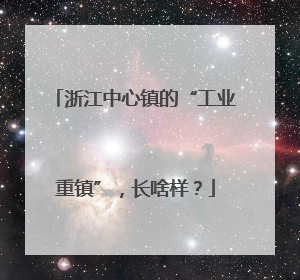 浙江中心镇的“工业重镇”，长啥样？