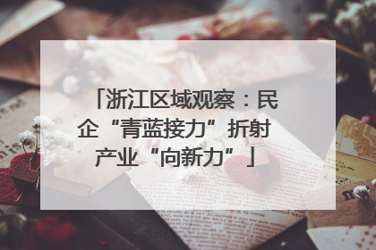 浙江区域观察：民企“青蓝接力”折射产业“向新力”
