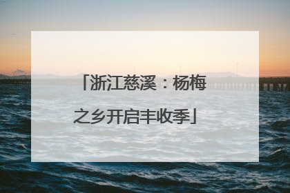 浙江慈溪：杨梅之乡开启丰收季