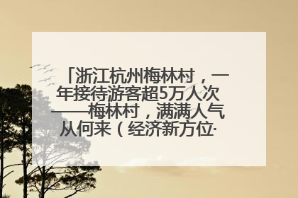 浙江杭州梅林村，一年接待游客超5万人次——梅林村，满满人气从何来（经济新方位·农村消费观察）