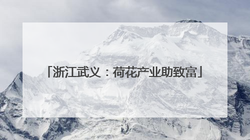 浙江武义：荷花产业助致富