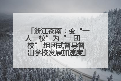 浙江苍南：变“一人一校”为“一团一校” 组团式督导督出学校发展加速度
