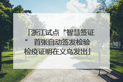 浙江试点“智慧签证” 首张自动签发检验检疫证明在义乌发出