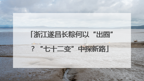 浙江遂昌长粽何以“出圈”？“七十二变”中探新路
