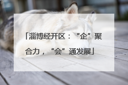 淄博经开区：“企”聚合力，“会”通发展