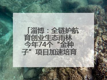 淄博：全链护航育创业生态雨林 今年74个“金种子”项目加速培育 政策性扶持创业9754人