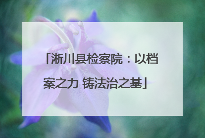 淅川县检察院：以档案之力 铸法治之基
