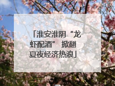 淮安淮阴“龙虾配酒” 掀翻夏夜经济热浪
