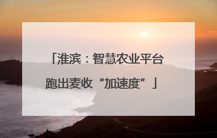 淮滨：智慧农业平台跑出麦收“加速度”