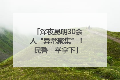 深夜昆明30余人“异常聚集”！民警一举拿下
