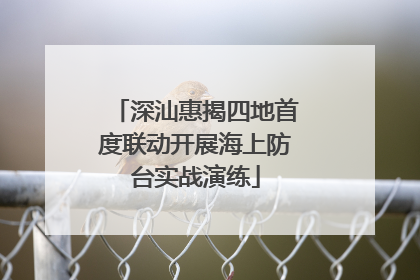 深汕惠揭四地首度联动开展海上防台实战演练
