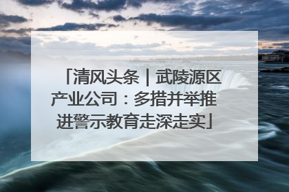 清风头条｜武陵源区产业公司：多措并举推进警示教育走深走实