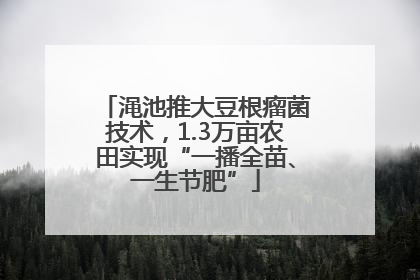 渑池推大豆根瘤菌技术，1.3万亩农田实现“一播全苗、一生节肥”