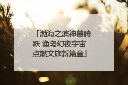 渤海之滨神兽腾跃 渔岛幻夜宇宙点燃文旅新篇章