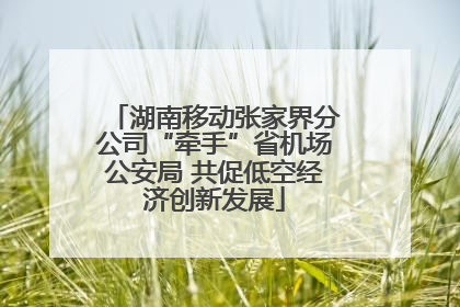 湖南移动张家界分公司“牵手”省机场公安局 共促低空经济创新发展