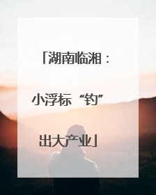 湖南临湘：小浮标“钓”出大产业