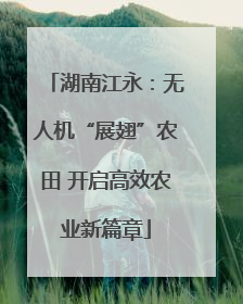 湖南江永：无人机“展翅”农田 开启高效农业新篇章