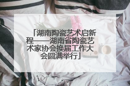 湖南陶瓷艺术启新程——湖南省陶瓷艺术家协会换届工作大会圆满举行